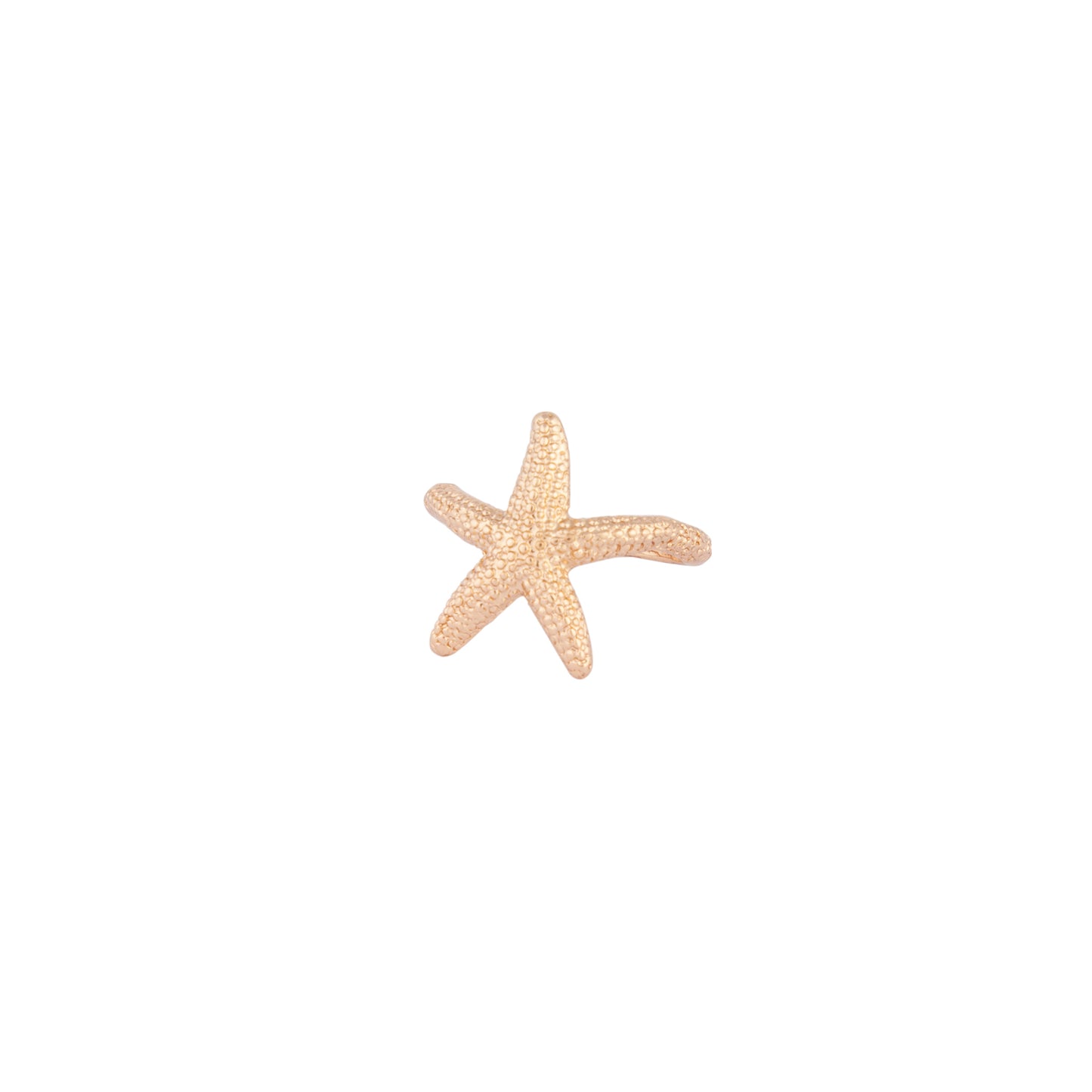 RTG SG STAR FISH RG@