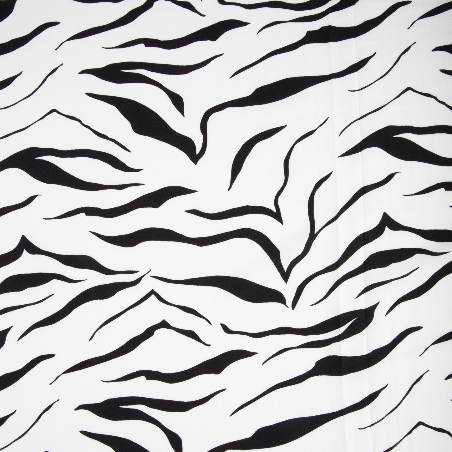 SC&SCR FB SQRE ZEBRA SC